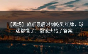 【现场】赖斯最后时刻吃到红牌，球迷都懂了：慢镜头给了答案